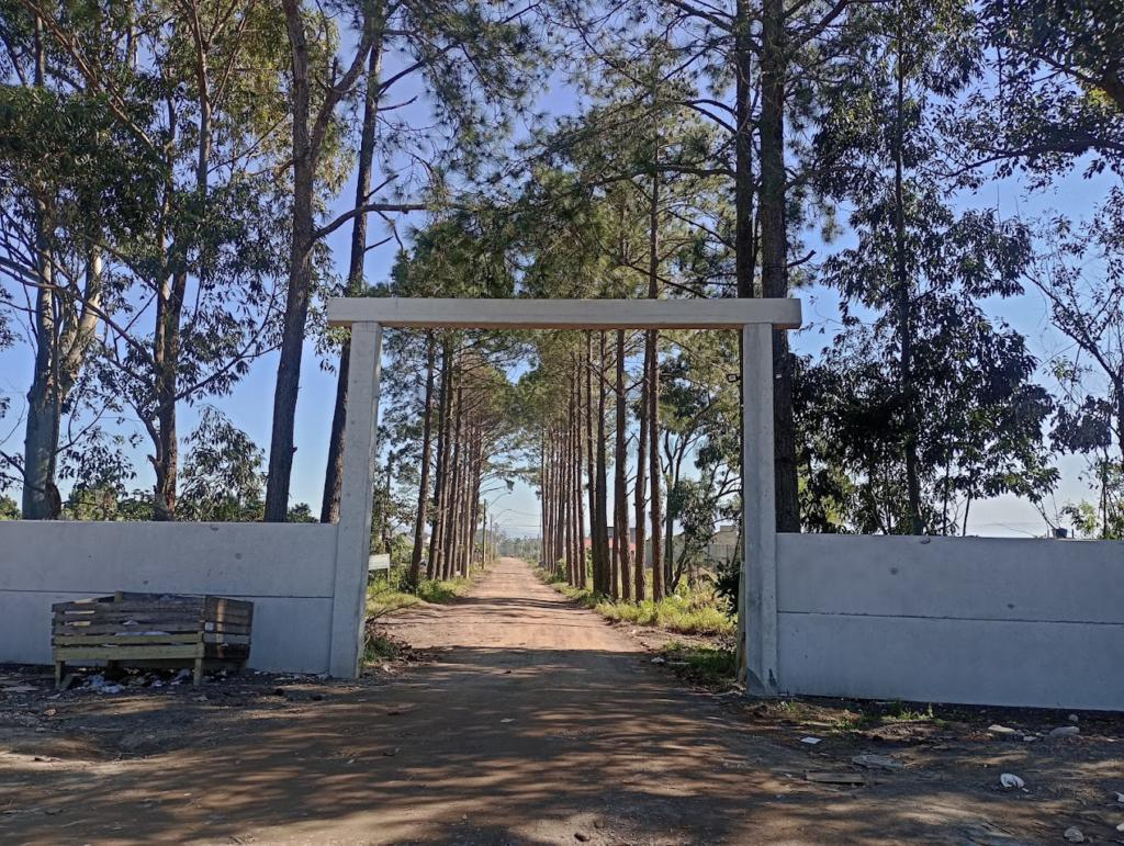 Terreno